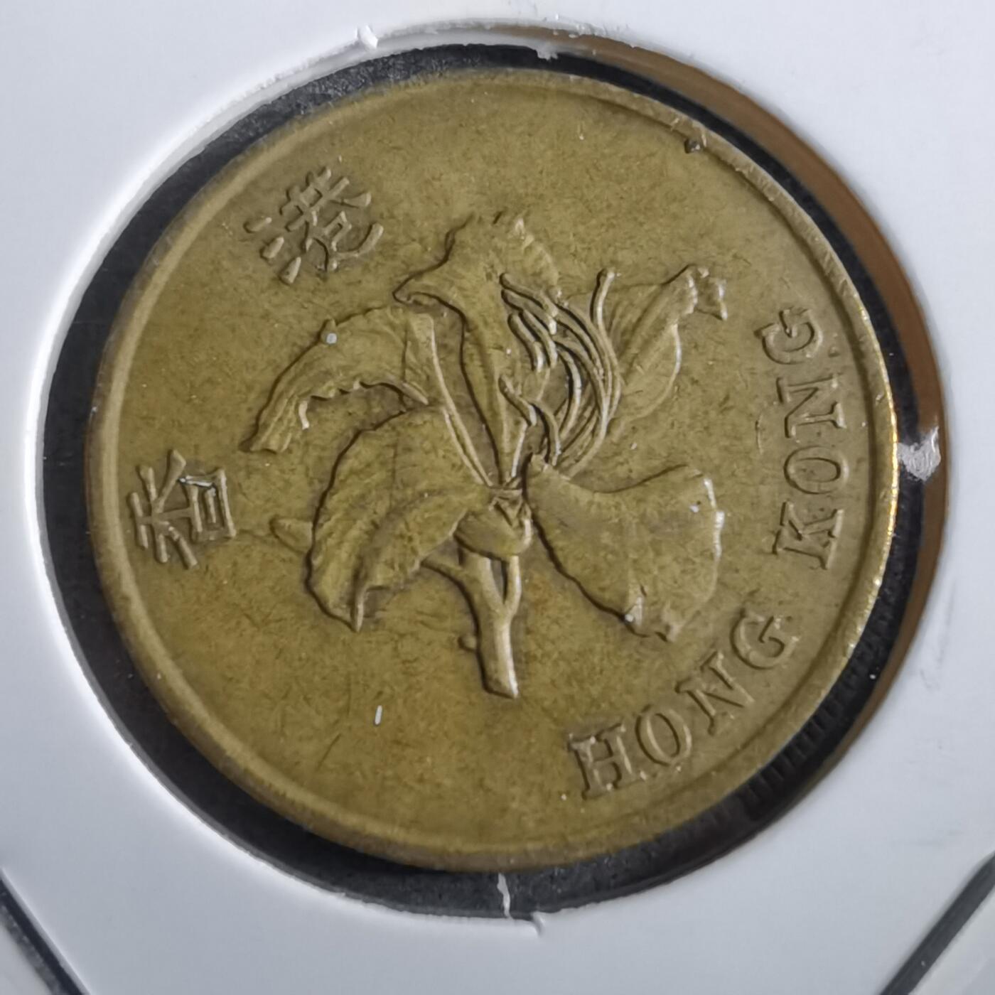 沼泽如烟--第779场