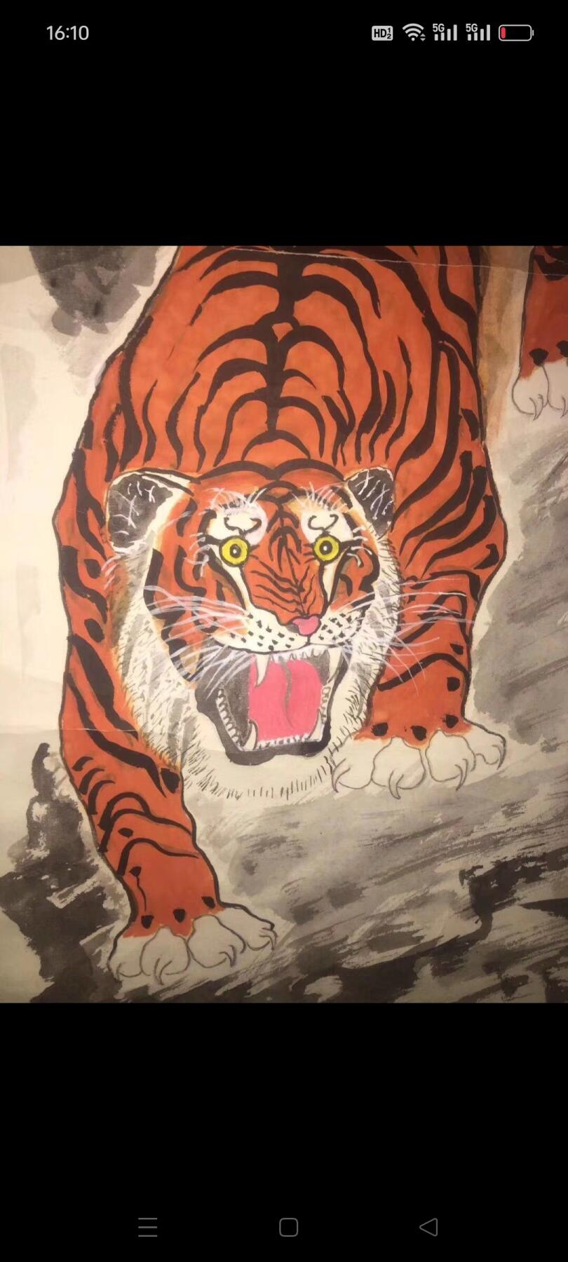 名人手绘“红虎”下山虎，款是藏古轩的，落款是中石的，红红火火甚是漂亮，包老包真包手绘，这幅画很有研究价值，都在字款里了，喜欢的朋友速度。尺寸1.70/0.53米