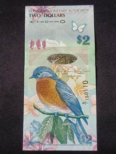 【游宝拍卖】乙巳蛇年57期 周日集拍 精品获奖竖版钞 - 百慕大-2元【2009年IBNS世界最佳钞票奖 全新UNC】
