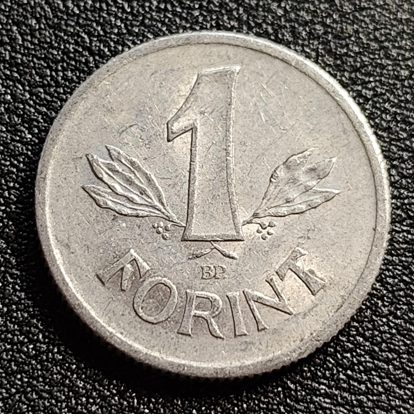 泉币菌-第54场-各国散币场 匈牙利早期1福林铝币 1981年