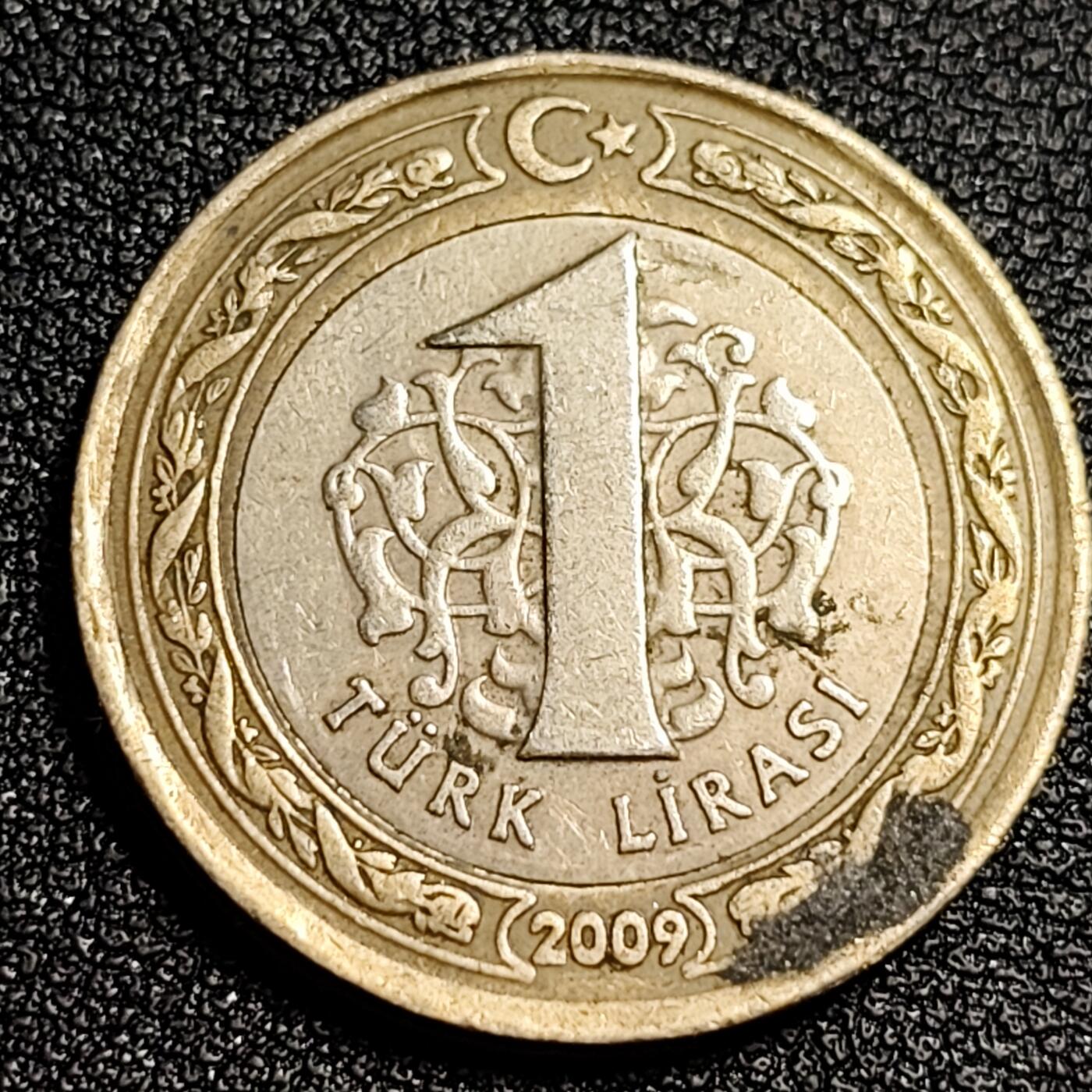 泉币菌-第53场-精品场 土耳其1里拉双色币 26mm凯末尔总统