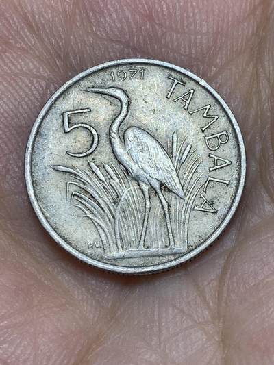 2025年第六十六场(总第九十二场）外国好品散币(免佣金) - 马拉维🇲🇼1971单年份5坦巴拉(第一版铜镍材质)