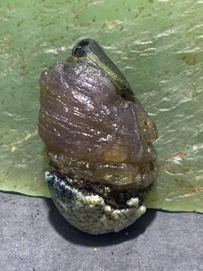 精美罕见紫罗兰料绿眼石原石一颗， - 精美罕见紫罗兰料绿眼石原石一颗，