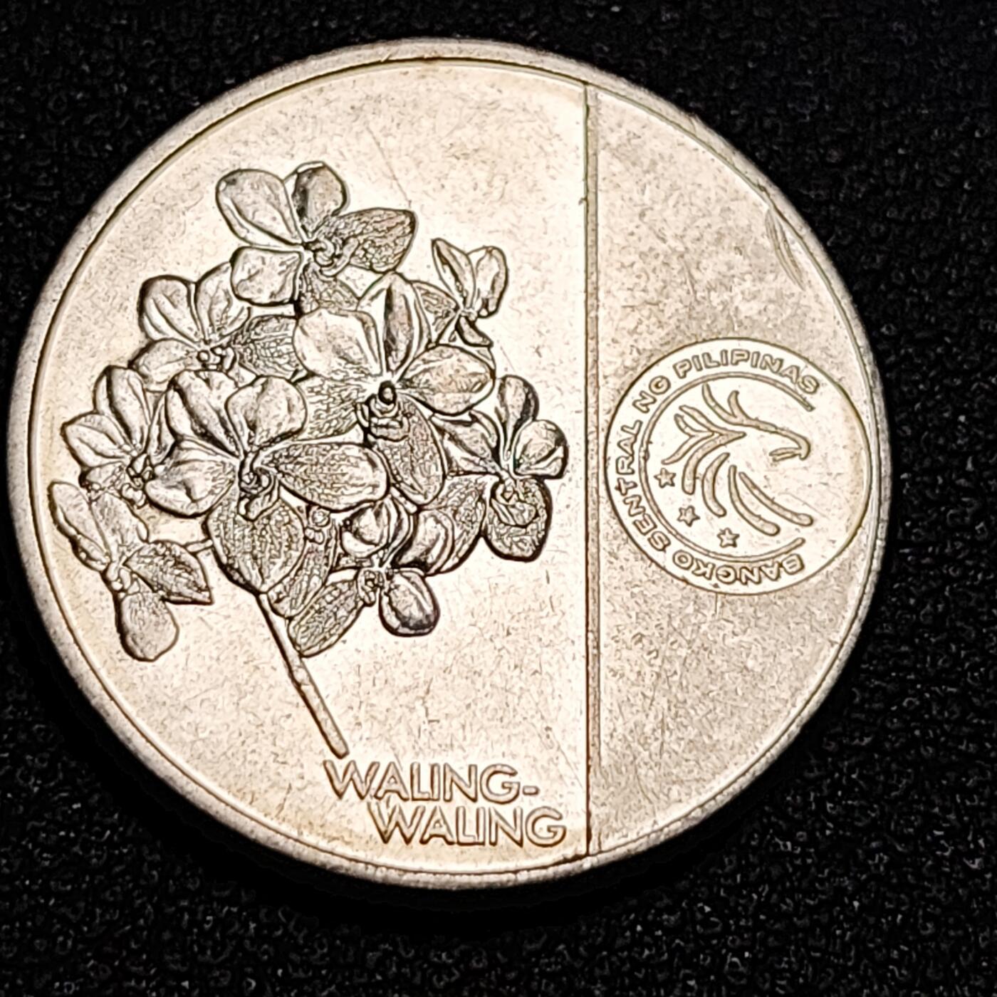 泉币菌-第53场-精品场 菲律宾新版1比索 国父黎黎刹