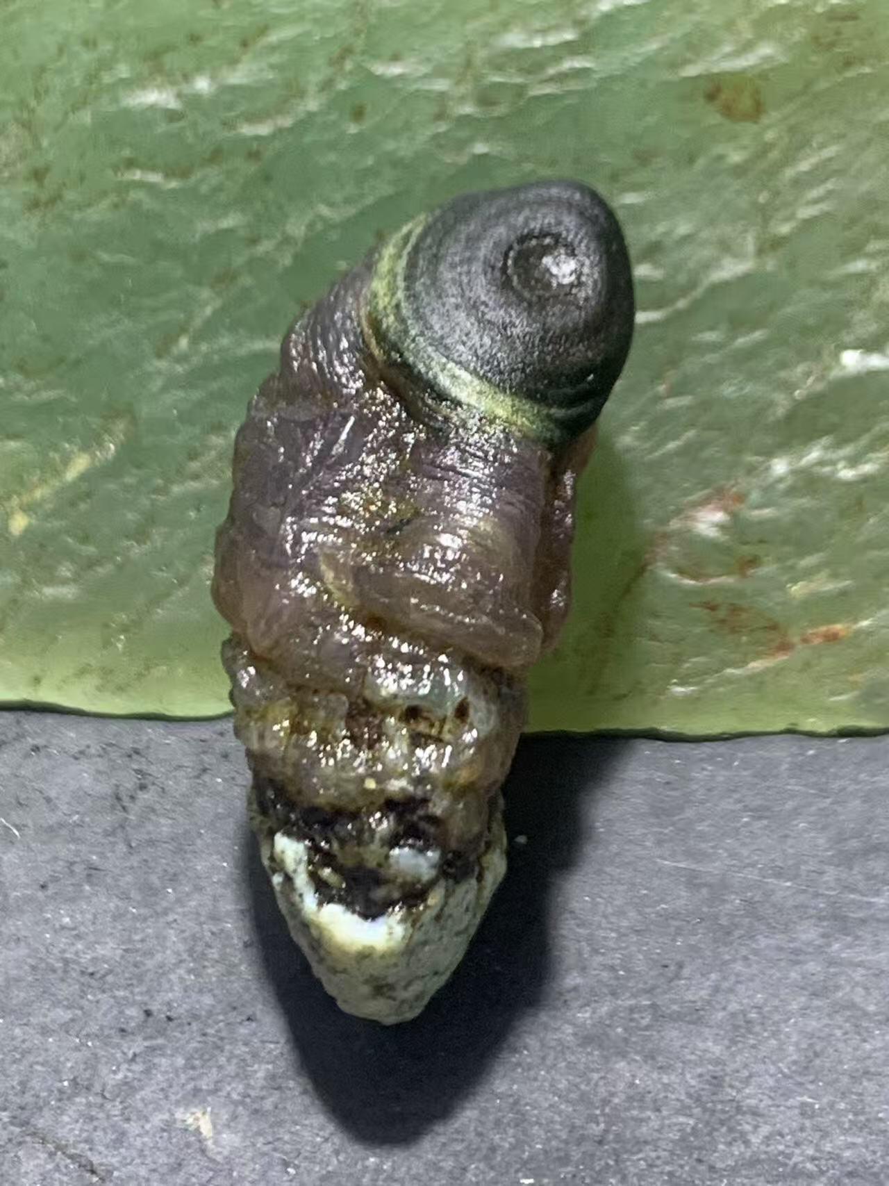 精美罕见紫罗兰料绿眼石原石一颗，