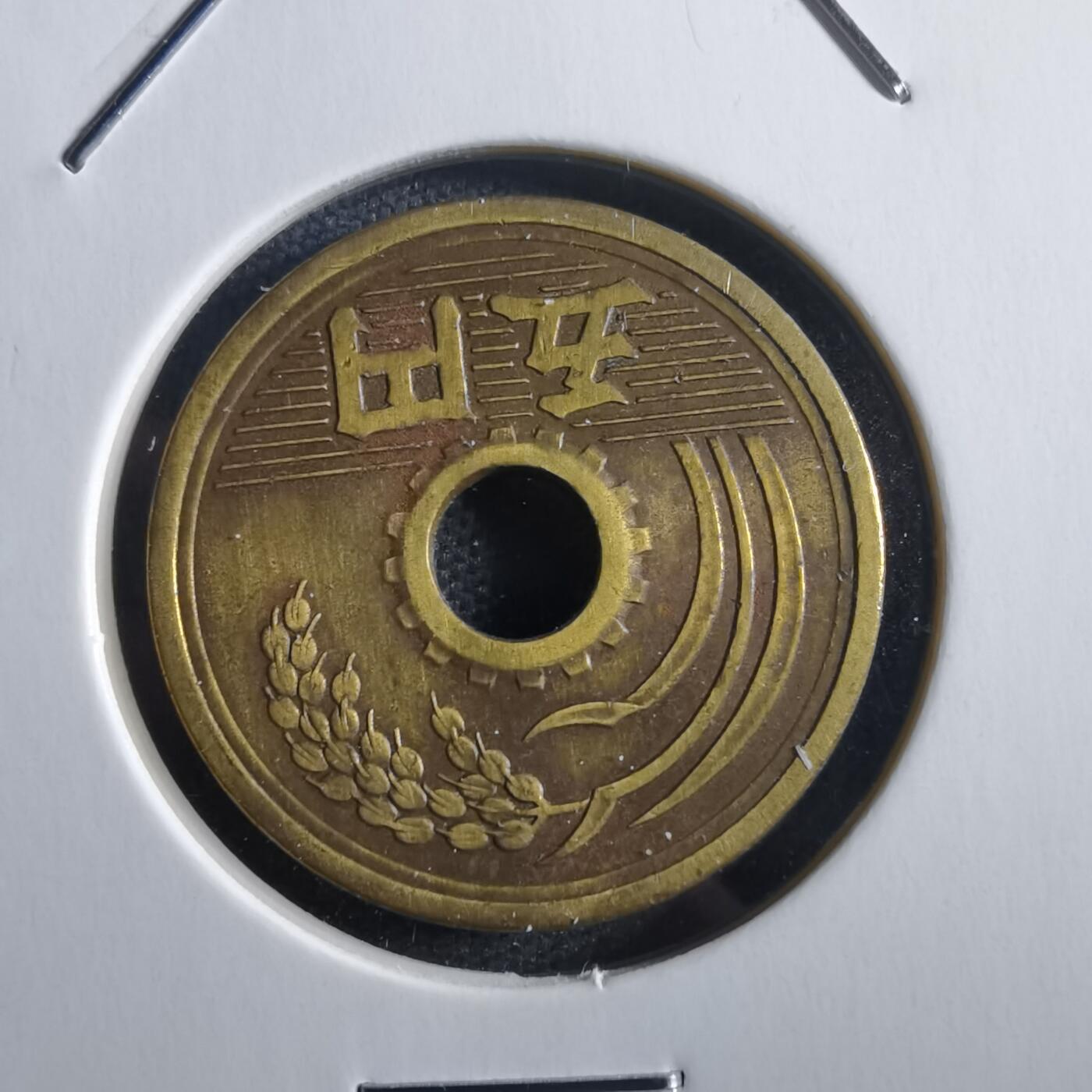 沼泽如烟--第781场