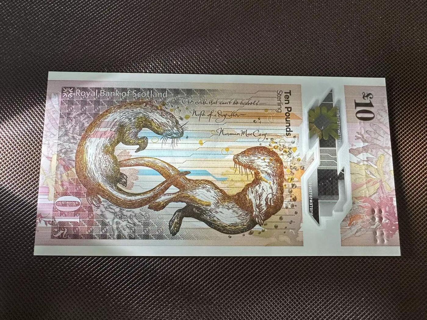 喜羊羊钱币收藏2025第7期(普品场)
