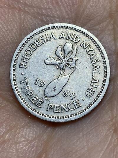 2025年第六十七场(总第九十三场）外国好品散币(免佣金) - 英属罗德西亚和尼亚萨兰1964年3便士(伊丽莎白二世青年桂冠，关门年)