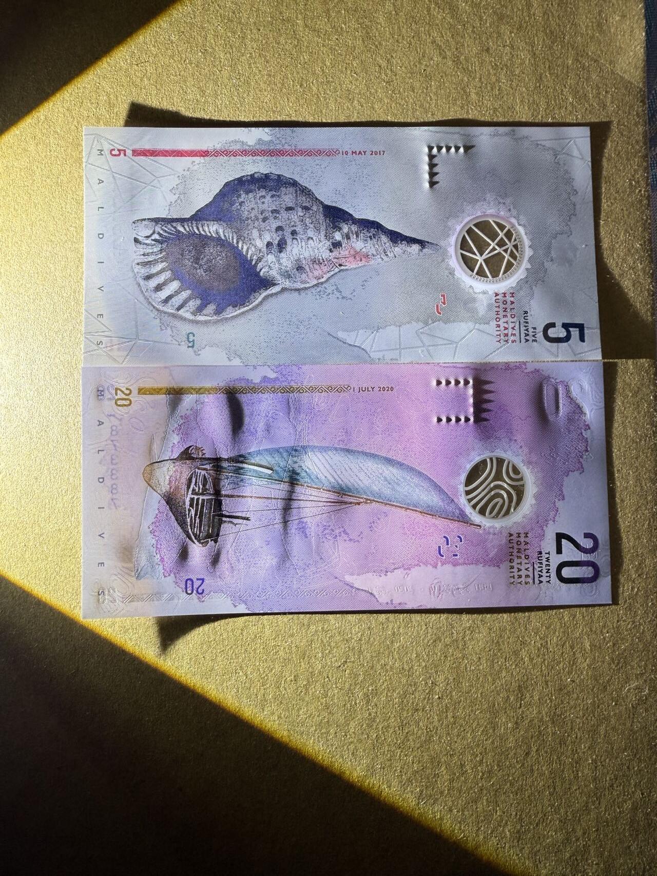 【炜奕收藏】，第三十九期