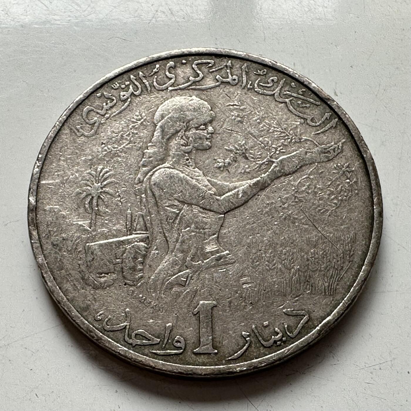 🌹外币初藏🌹🐯2025年第77场  每周二四六晚8️⃣点 接代拍 突尼斯1983年一第纳尔