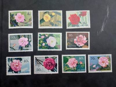 理想集藏/博彦收藏 7月23日邮票专场 - 山茶新全 齿微黄，上品