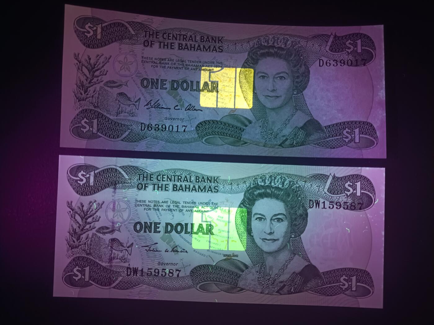 2025七月第二期（总第184期）