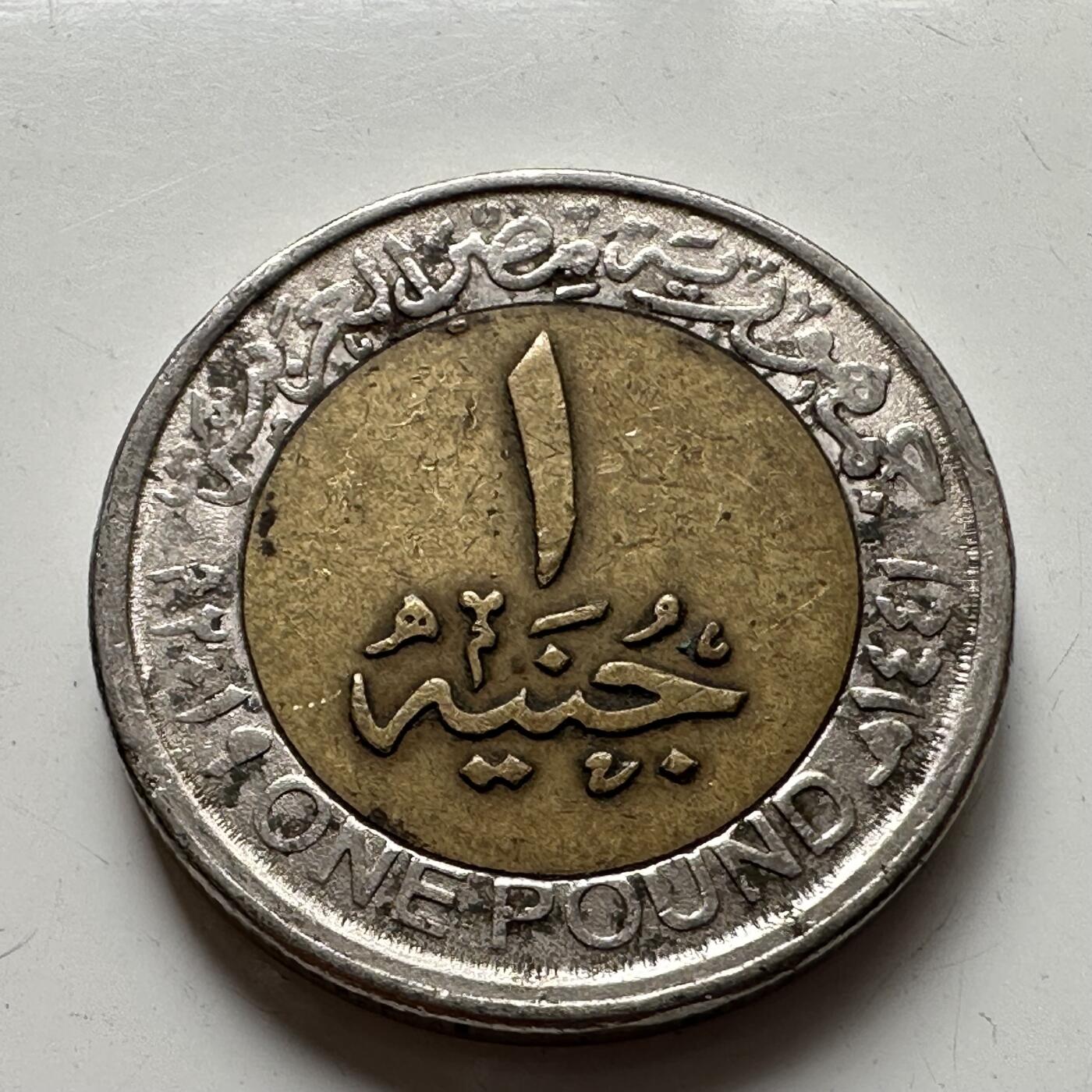 🌹外币初藏🌹🐯2025年第77场  每周二四六晚8️⃣点 接代拍 埃及2019年社会团结一镑纪念币