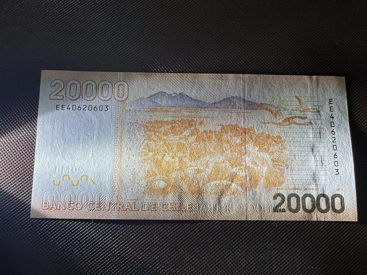 喜羊羊钱币收藏2025第7期(普品场) 智利2014年20000  unc  EE40620603