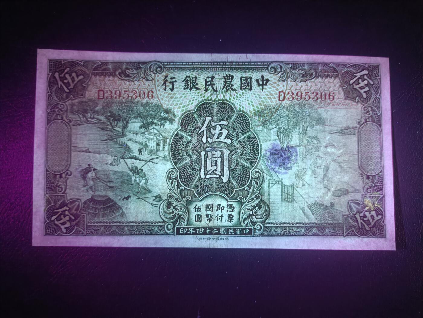 2025七月第二期（总第184期）