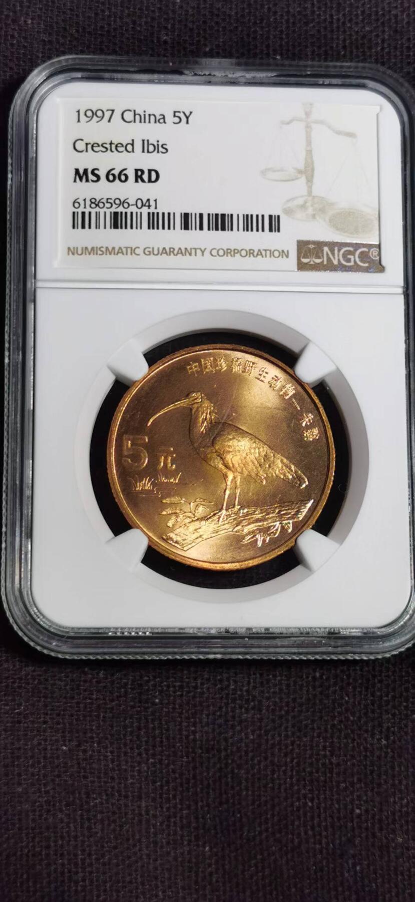 评级币：NGC-MS66 1997年中国珍稀野生动物系列朱鹮纪念币