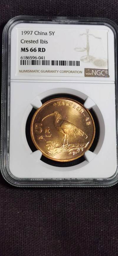 评级币：NGC-MS66 1997年中国珍稀野生动物系列朱鹮纪念币 - 评级币：NGC-MS66 1997年中国珍稀野生动物系列朱鹮纪念币