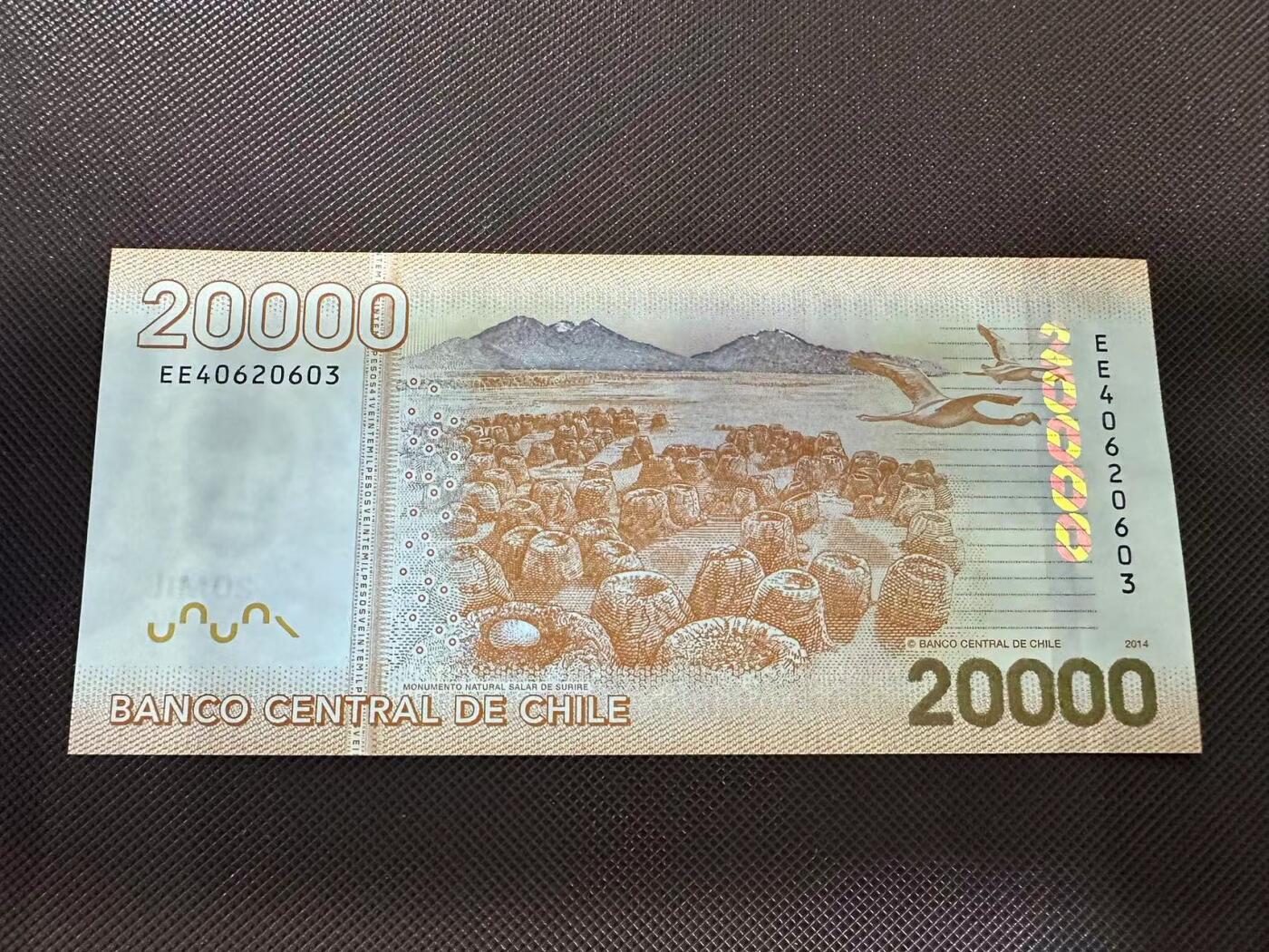 喜羊羊钱币收藏2025第7期(普品场) 智利2014年20000  unc  EE40620603