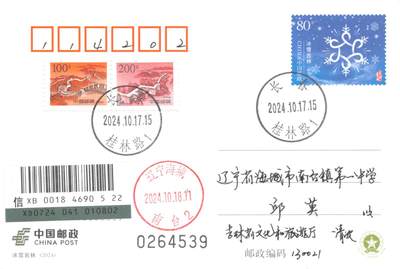 7月24日（周四）20:00中国邮政专场拍卖 - 2025中国大陆《第九届亚洲冬季运动会》加贴PP冰雪运动 长城补资 北京原地首日挂寄国内 一套一枚（4539）