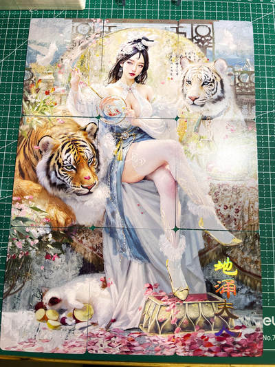 显眼宝23期 都是自己玩的卡 - 燎原卡牌 焱卡文化 妖姬传 地泳夫人超傲娇 九拼一套9张 工艺  63*88