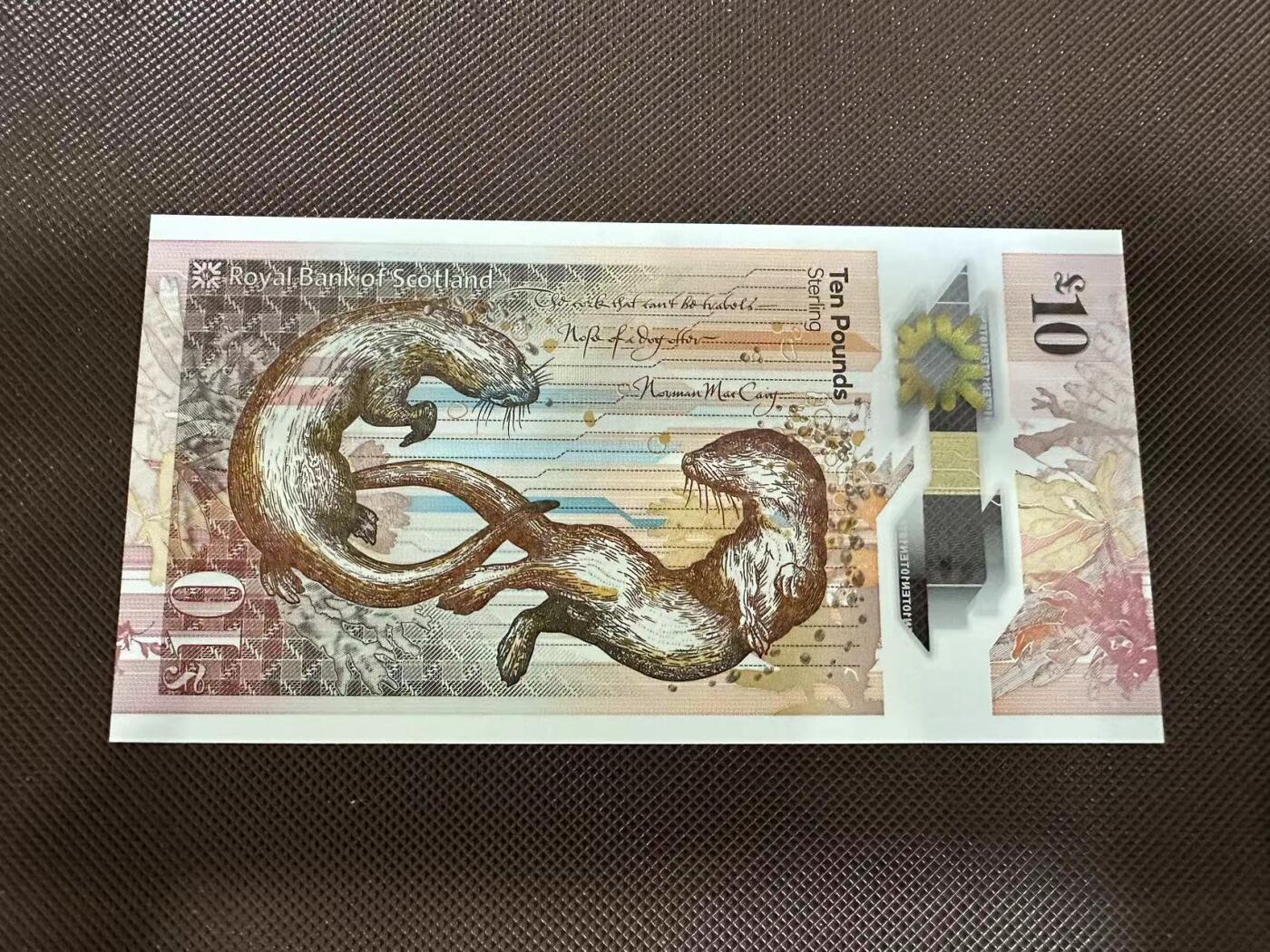 喜羊羊钱币收藏2025第7期(普品场)