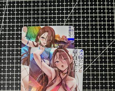 铃鹿第五期（提示一：自制卡难免瑕疵，可能存在撞角爆边等出厂瑕疵，介意慎拍；提示二：参拍请慎重，跑单押金不退的）） - 童贞先生彩闪艺术对卡