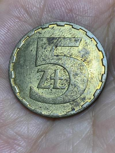 2025年第六十七场(总第九十三场）外国好品散币(免佣金) - 波兰🇵🇱1979年5兹罗提