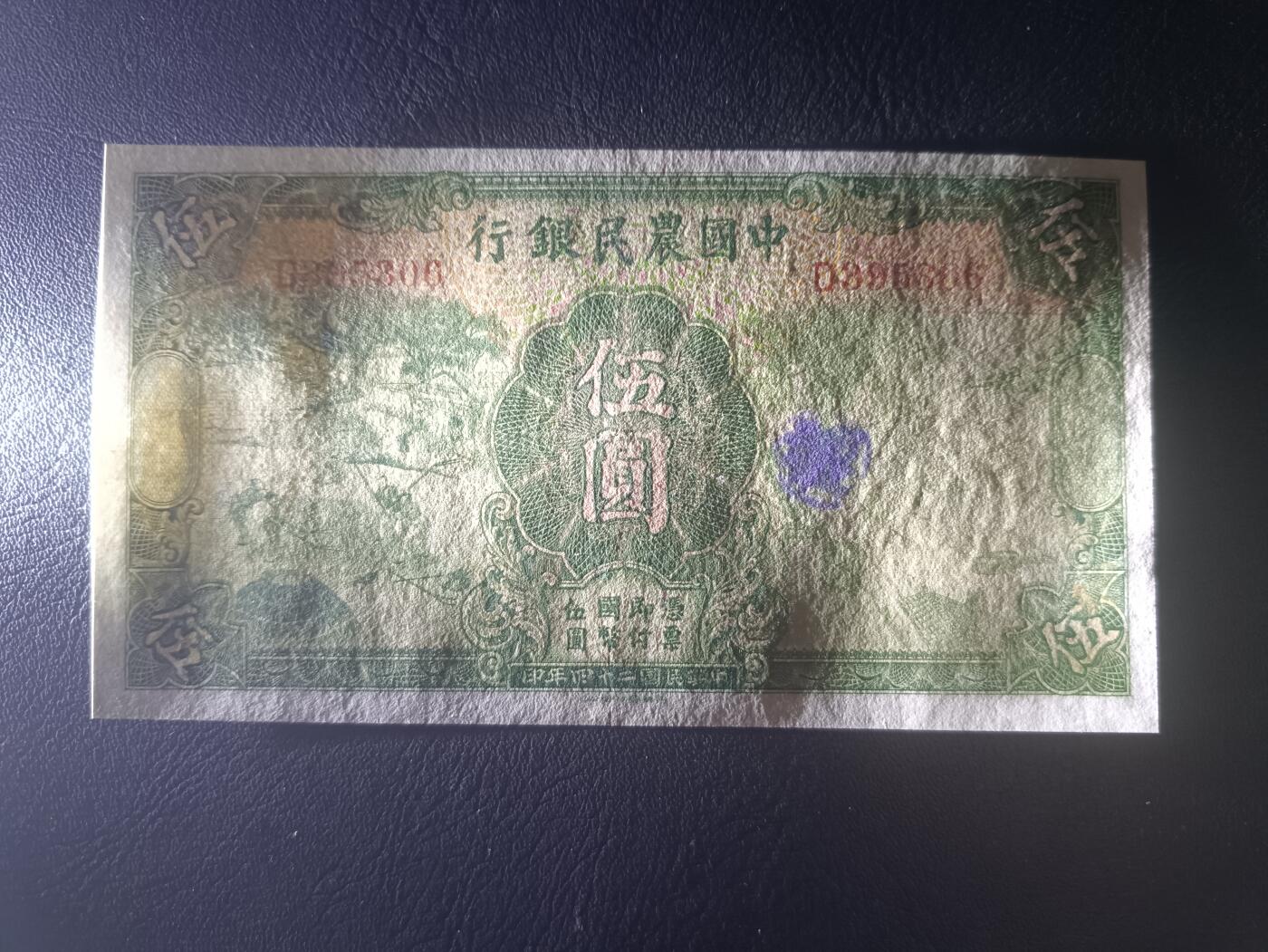 2025七月第二期（总第184期）