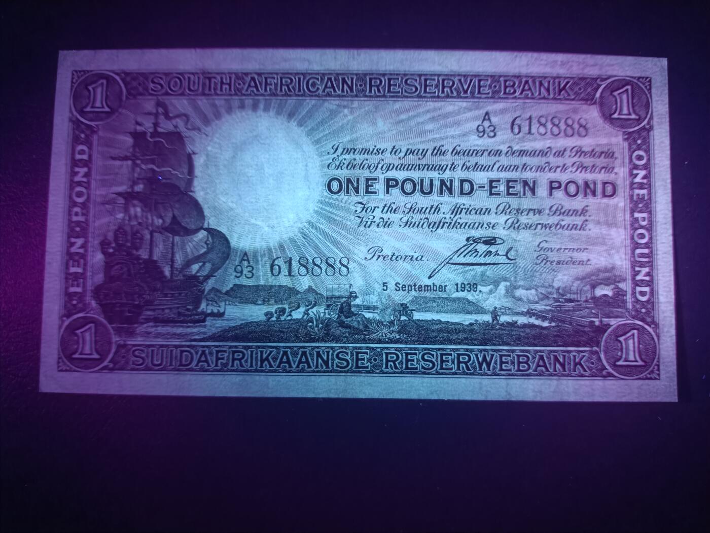 2025七月第二期（总第184期）