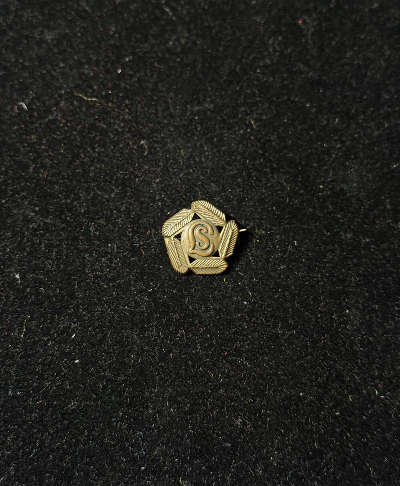 戎马世界章牌大赏第100期 芬兰洛塔-斯瓦德滑雪能力证章 铜制带号，战前至二战，少见