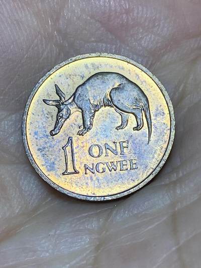 2025年第六十七场(总第九十三场）外国好品散币(免佣金) - 赞比亚🇿🇲1968年1恩韦