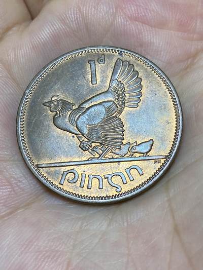 2025年第六十七场(总第九十三场）外国好品散币(免佣金) - 好品–爱尔兰🇮🇪1968年1便士(共和国时期)