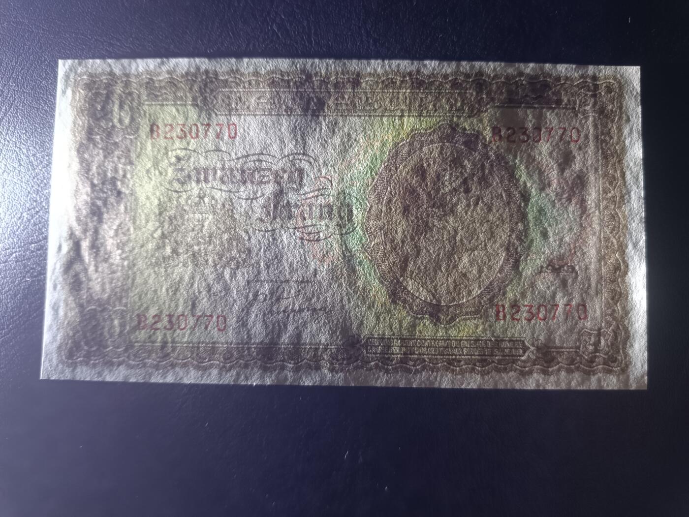 2025七月第二期（总第184期）