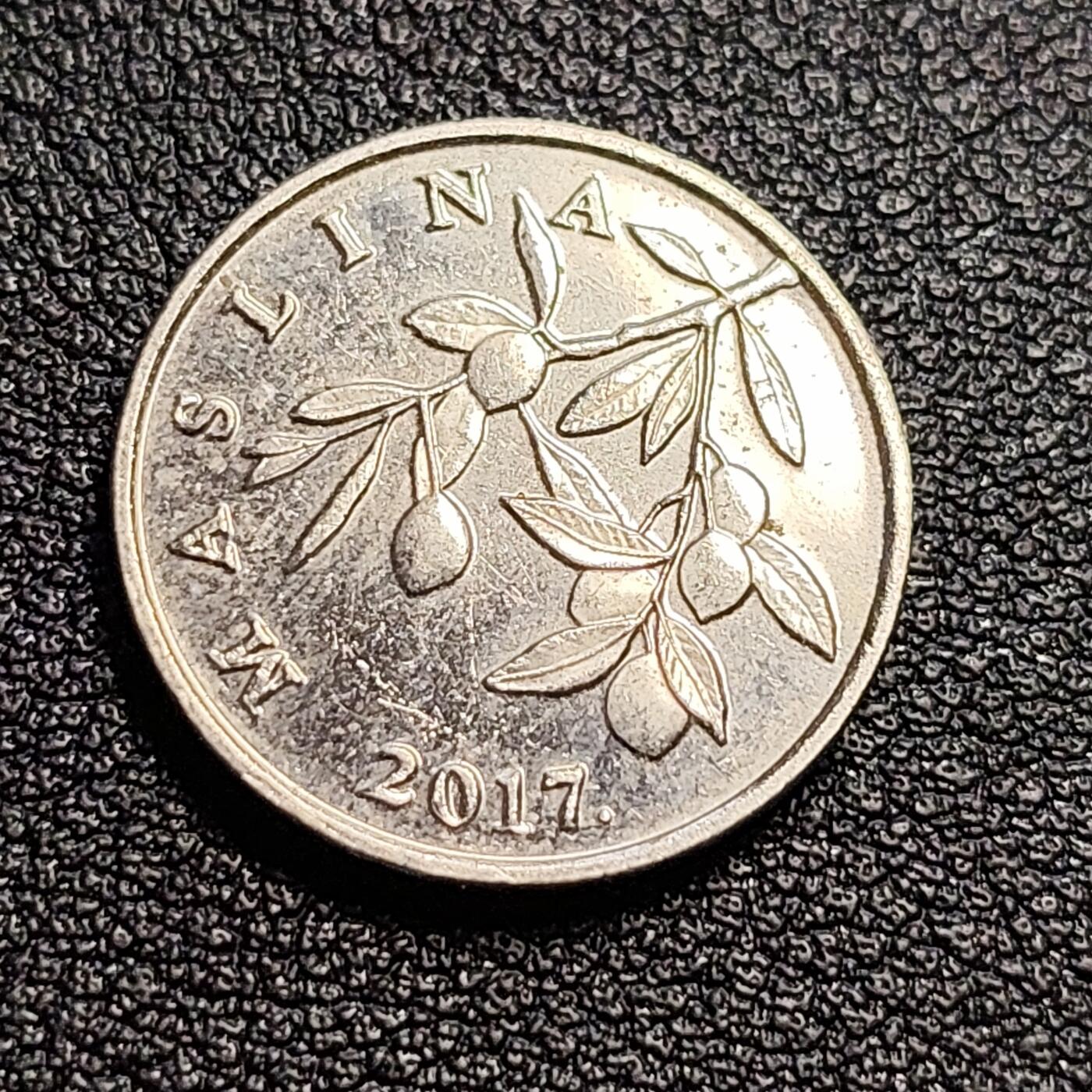 泉币菌-第54场-各国散币场 克罗地亚20利帕 柠檬树叶FAO铜镍币 