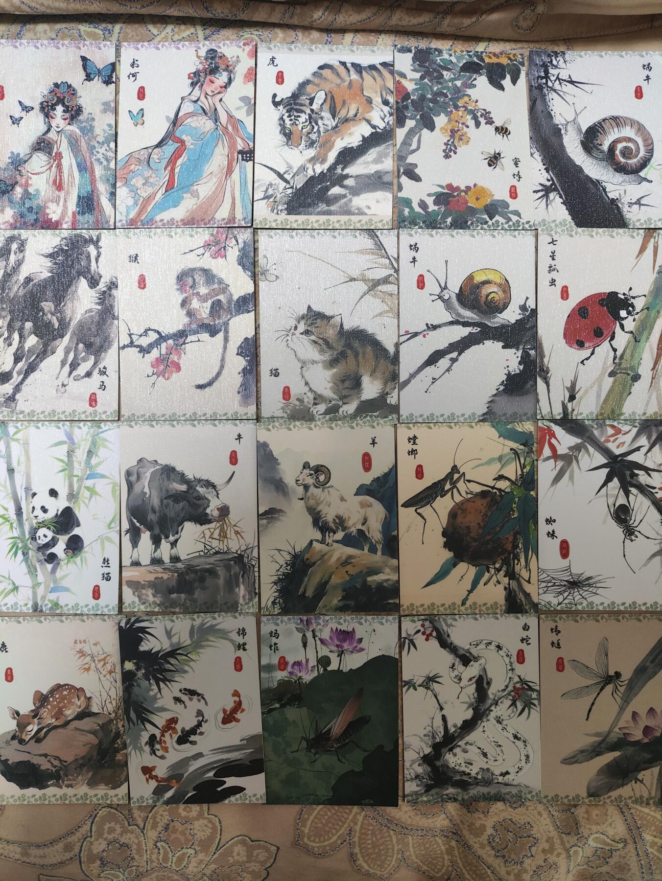 阳大大卡牌超级大甩拍第62期（周五晚上九点截拍，持续收拍品，进群福利早知道）