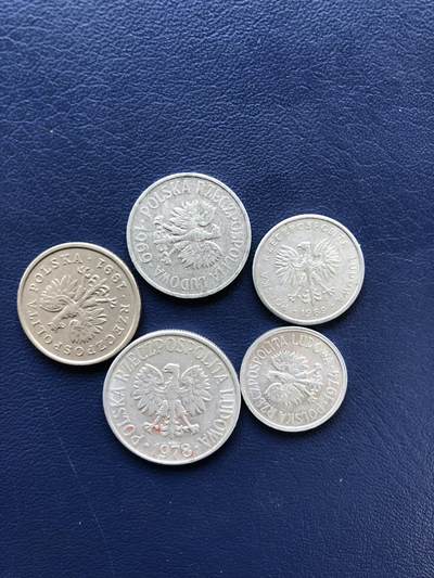 日本朝鲜俄罗斯多国纸币硬币 - 波兰硬币五枚