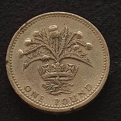 【全场包邮】纯粹捡漏拍443场 - 英国1989年1镑四邦国花系列苏格兰蓟花纪念币