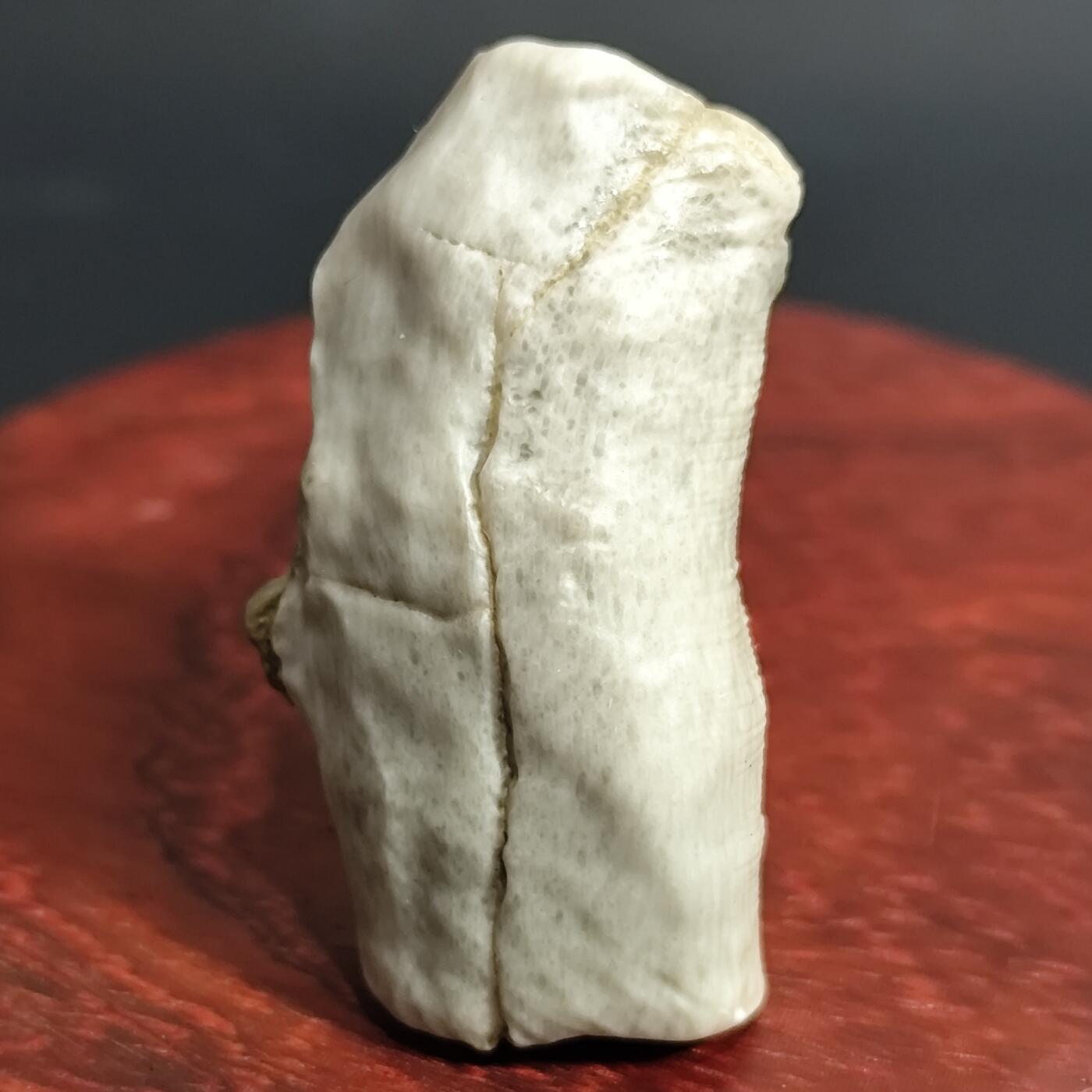 希腊罗马丝路打制币化石【中外钱币放漏】专场！陆小鱼的钱币仓，限时拍卖第070场