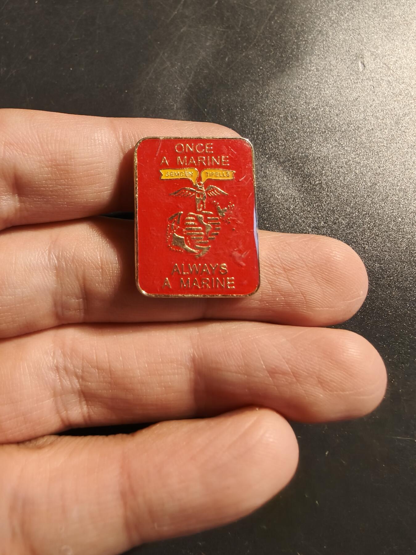 老王徽章第135期