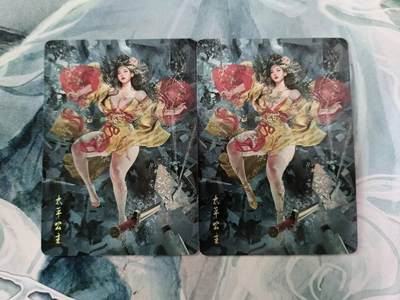 龙虎卡牌第46场 （无佣金，满120包邮，欢迎送拍） - 普卡2张 燎原 刷子 人姬传 太平公主双服饰