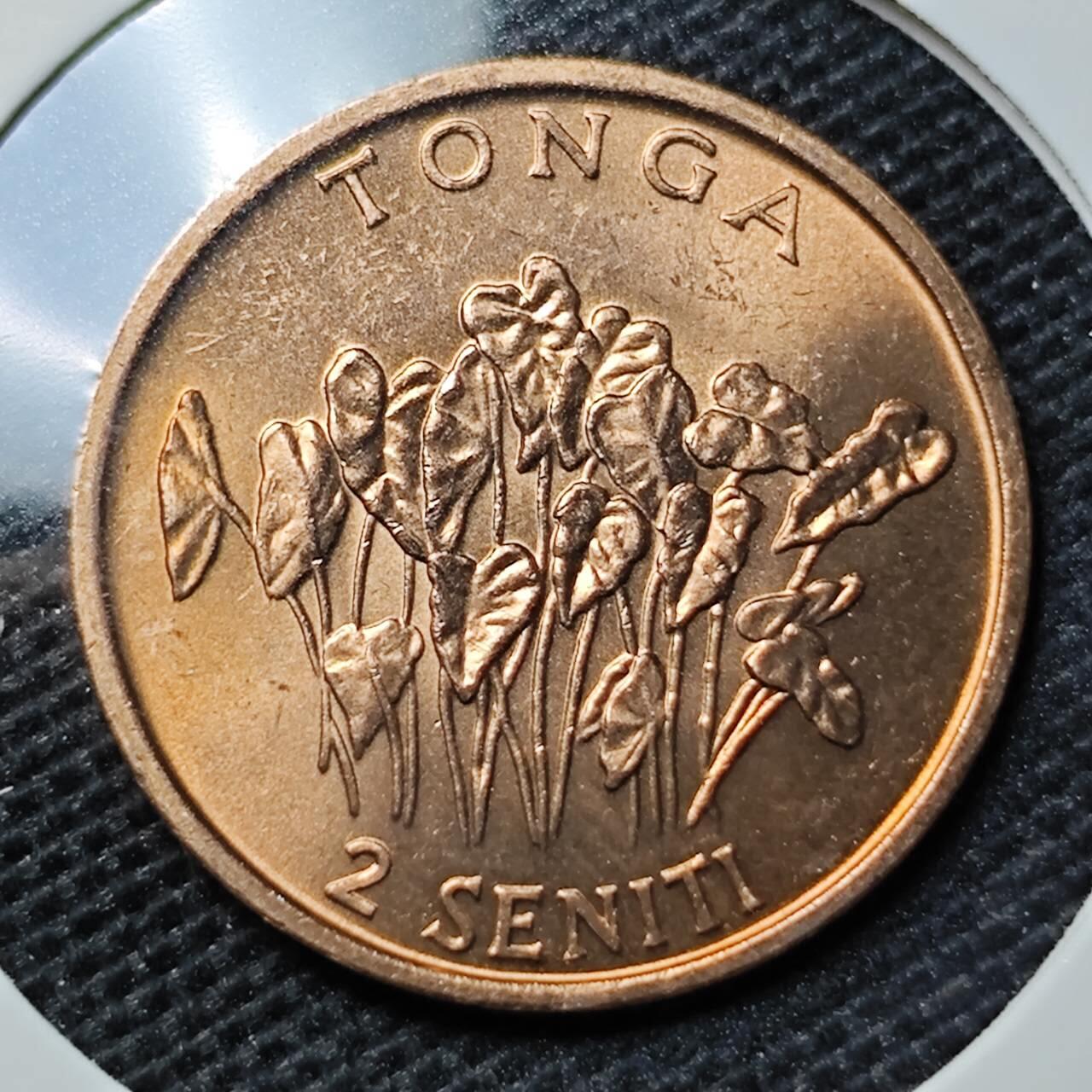 KK钱币收藏小铺 第309期 2月预留时间 周末发货