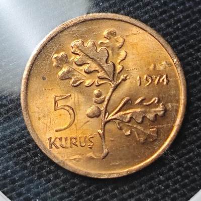KK钱币收藏小铺 第309期 2月预留时间 周末发货 - 1974土耳其5库鲁 好品铜币