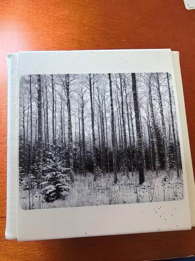 长老汇马年精选第二场拍卖 - 2018芬兰厄伦斯瓦德10欧元精制银币，8000枚，本币是前100枚初铸币，编号017，盒证全