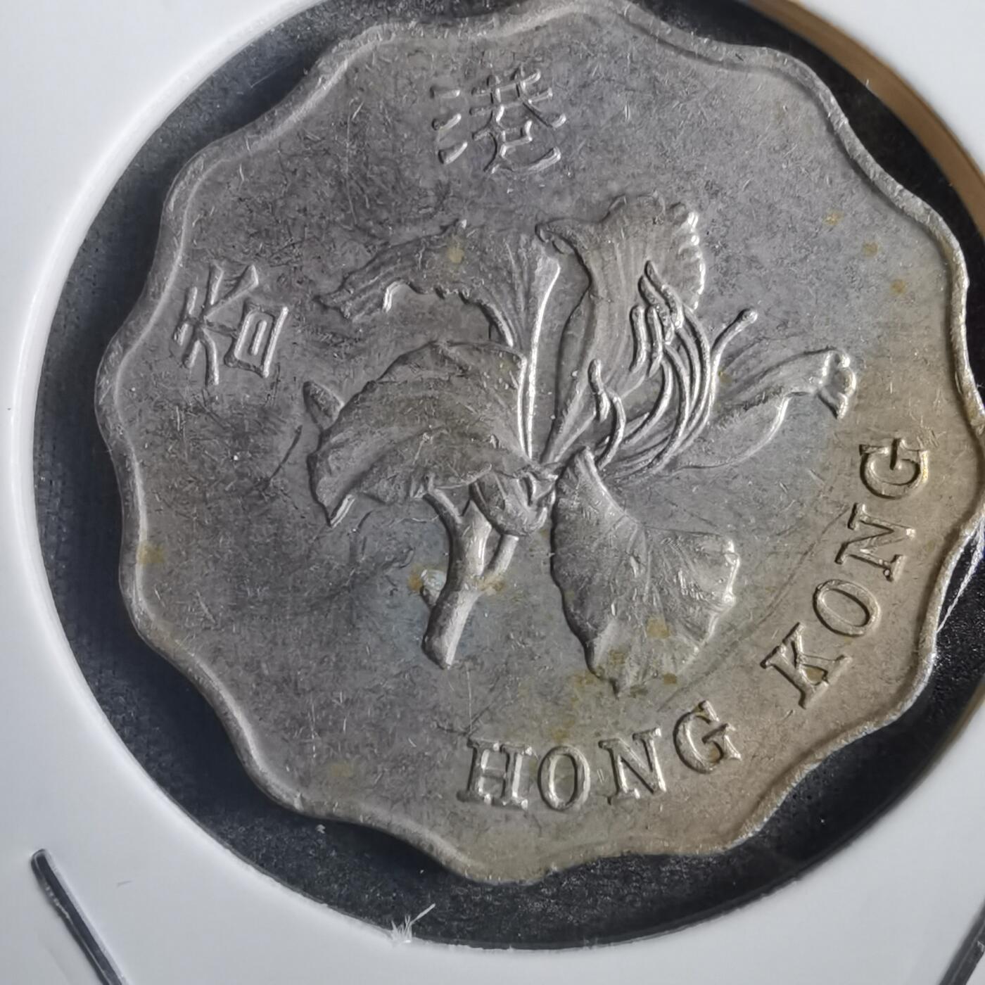 沼泽如烟--第785场