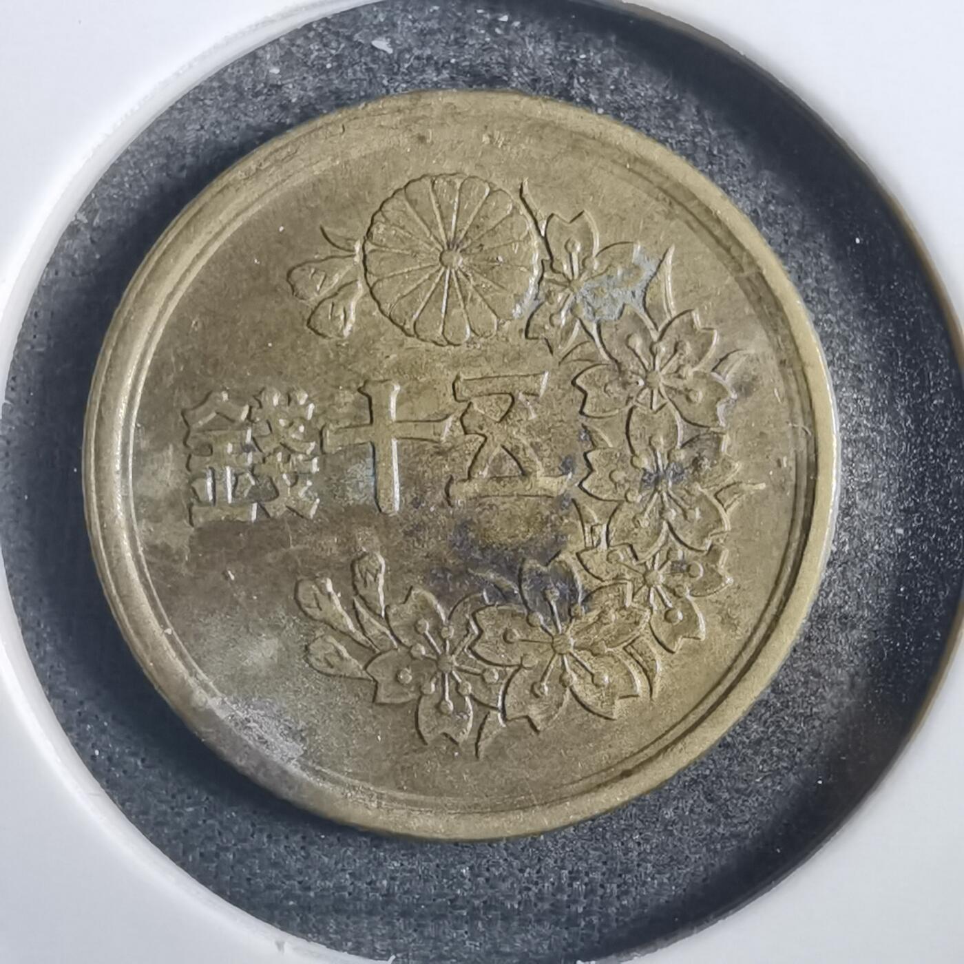 沼泽如烟--第785场