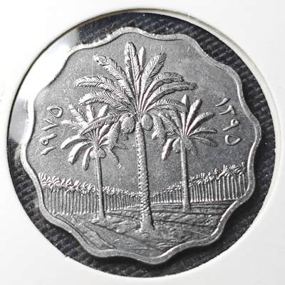 KK钱币收藏小铺 第309期 2月预留时间 周末发货 - 伊拉克10 费尔 纪念币 好品
