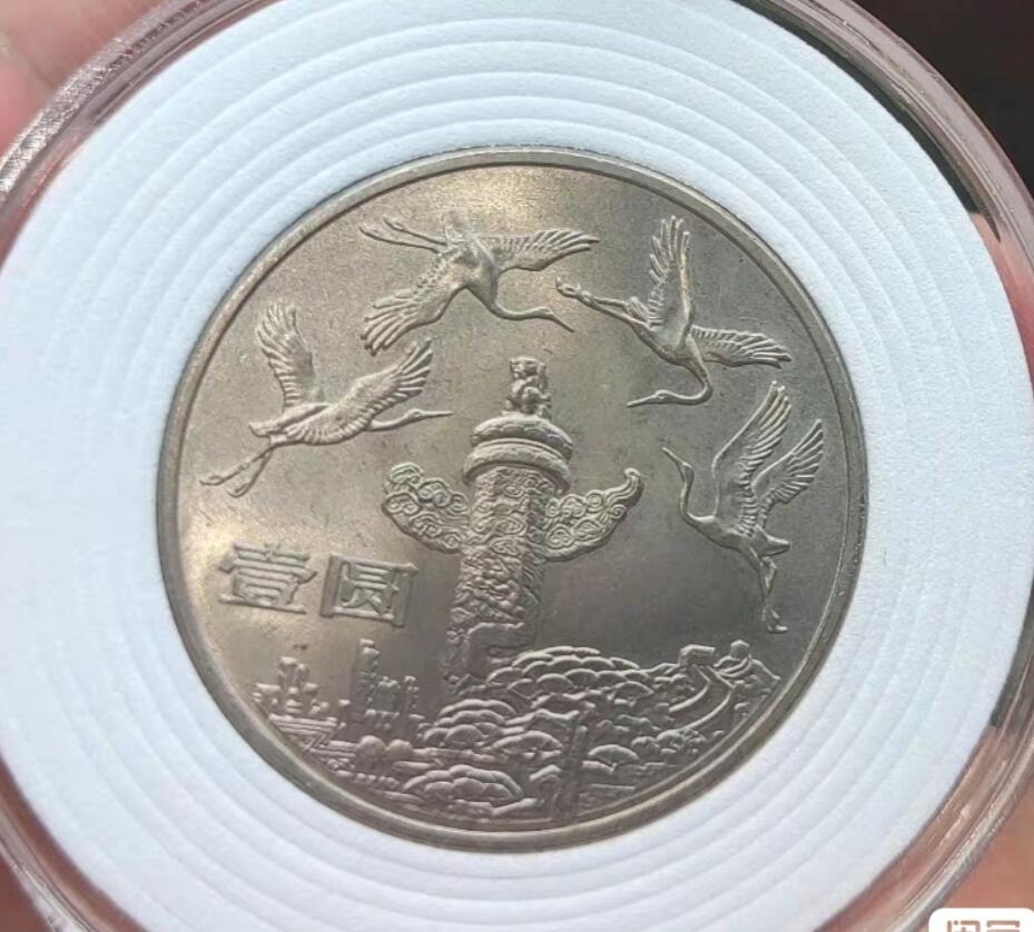 新人首场拍