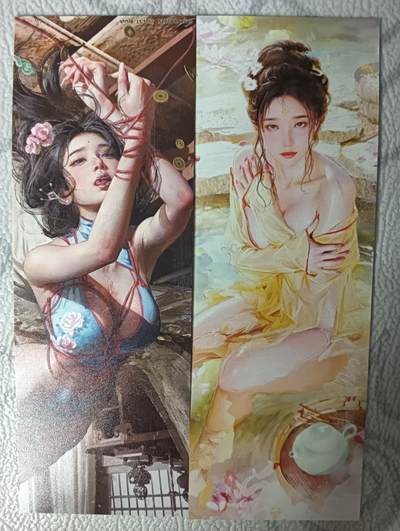 花开卡拍第31期（7月20号周日截拍，品控勿拍!!!拍品不寄存，运费5元，自制卡难免瑕疵，可能存在轻微撞角爆边等出厂瑕疵，品控介意勿拍！） - 燎原人间传 书签 杜夫人 春梅 两张