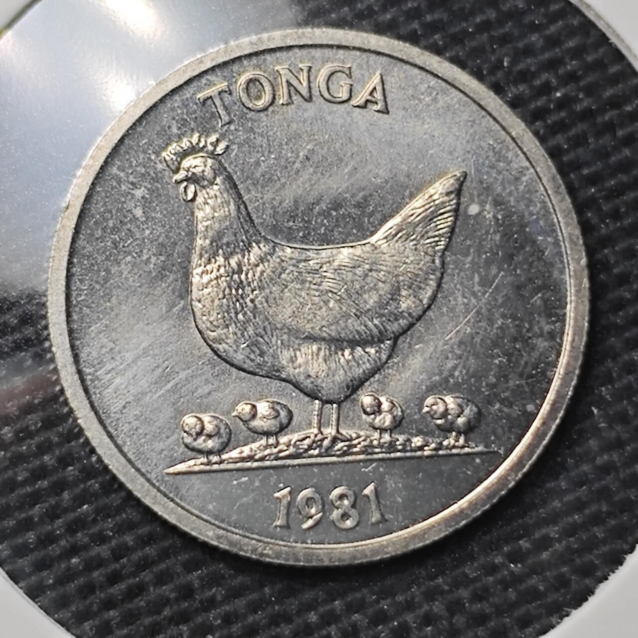 KK钱币收藏小铺 第309期 2月预留时间 周末发货 1981汤加5分 好品