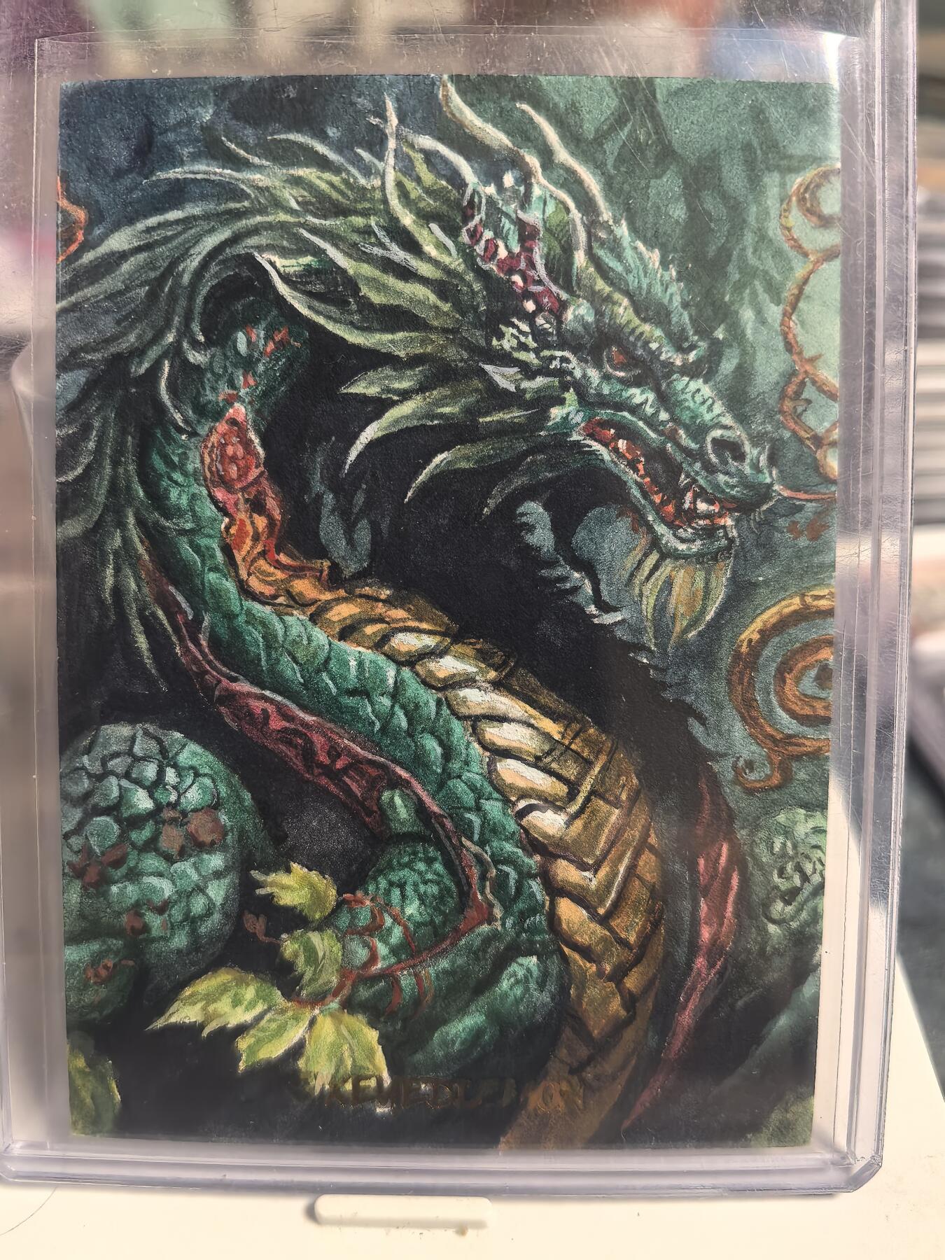 阳大大卡牌超级大甩拍第62期（周五晚上九点截拍，持续收拍品，进群福利早知道）
